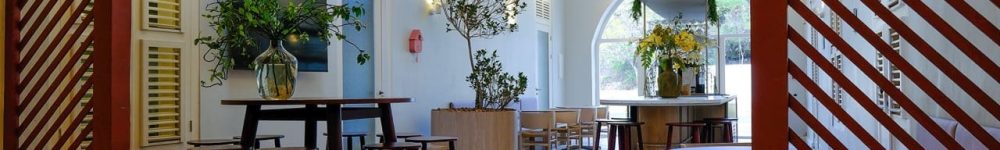 YouMeet Curacao44